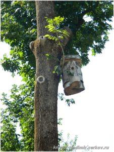 На деревьях развешаны скворечники и кормушки для птиц.